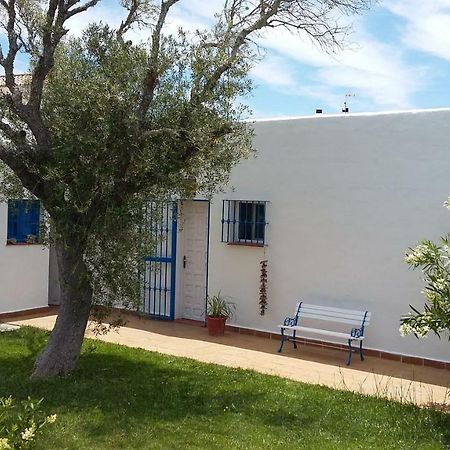 Casa Montecote Playa 洛斯卡尼奥斯德梅卡 外观 照片
